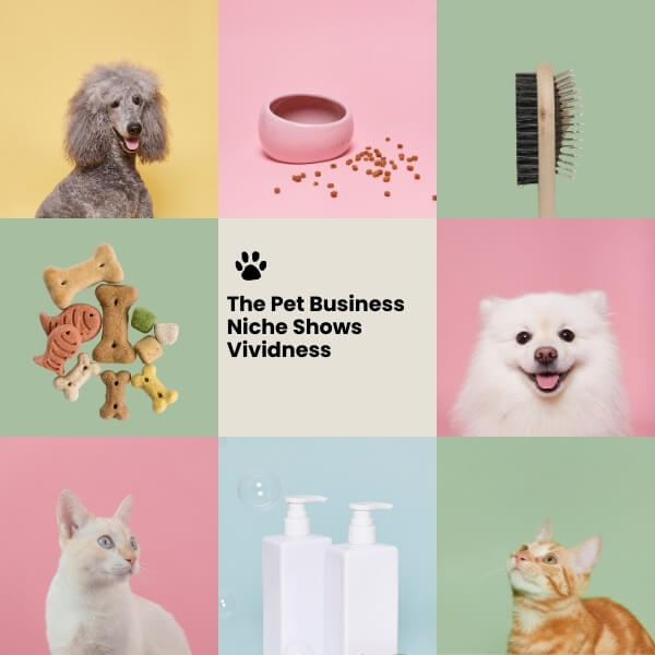 The-Pet-Business-Niche-Shows-Vividness