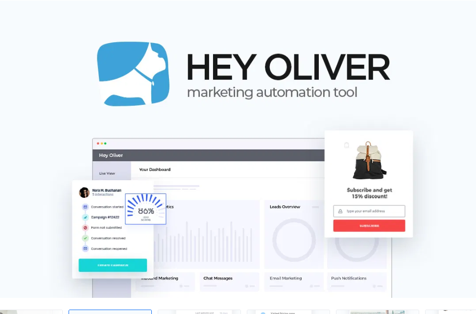 Hey Oliver visitor tracking dashboard scoring live real estate website leads
